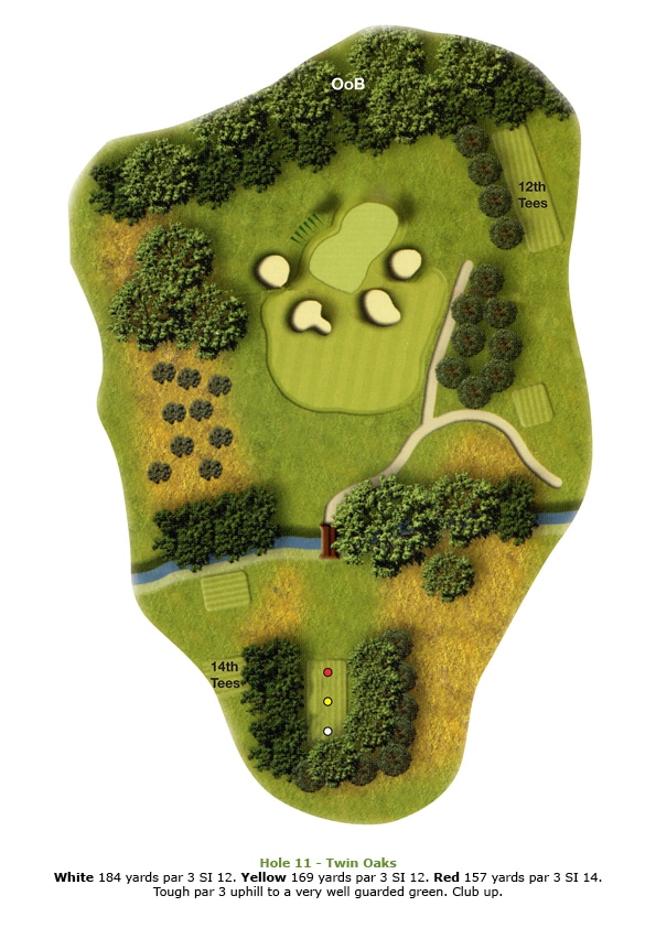 Hole 11