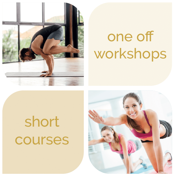 SE new graphics for website 1